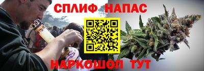 мдпв Заводоуковск