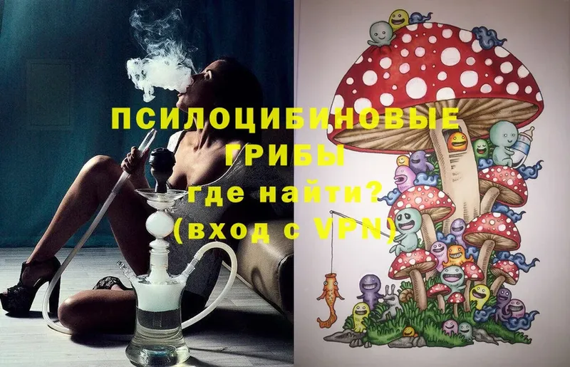 цена   Переславль-Залесский  Псилоцибиновые грибы MAGIC MUSHROOMS 