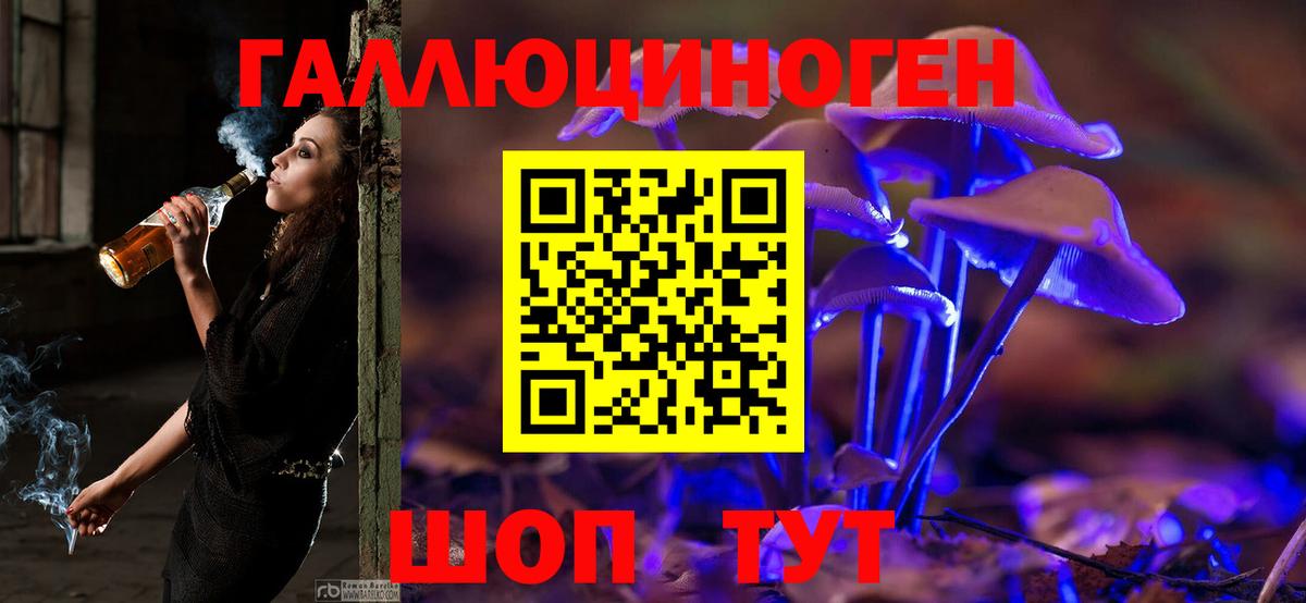 Псилоцибиновые грибы Psilocybe Переславль-Залесский