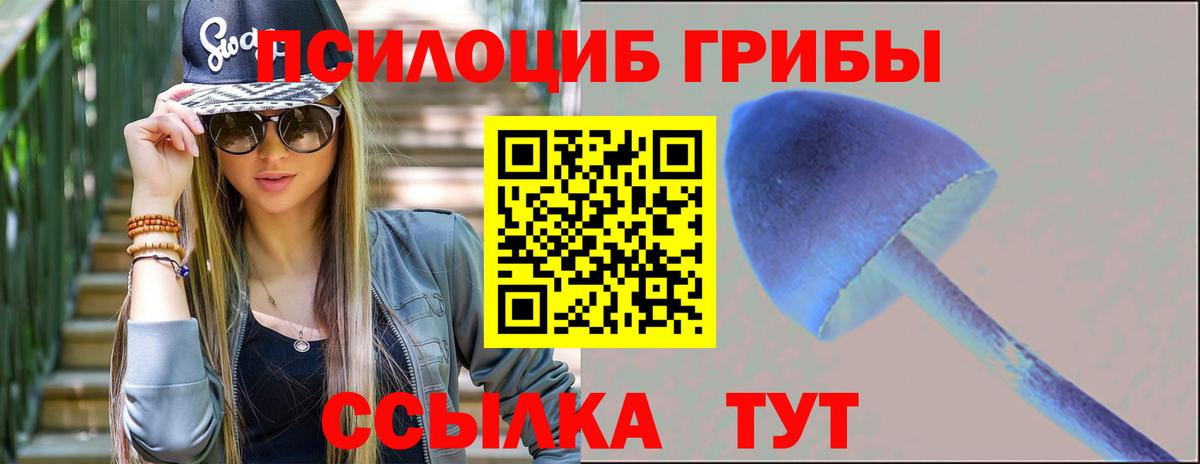 Псилоцибиновые грибы Psilocybe Переславль-Залесский
